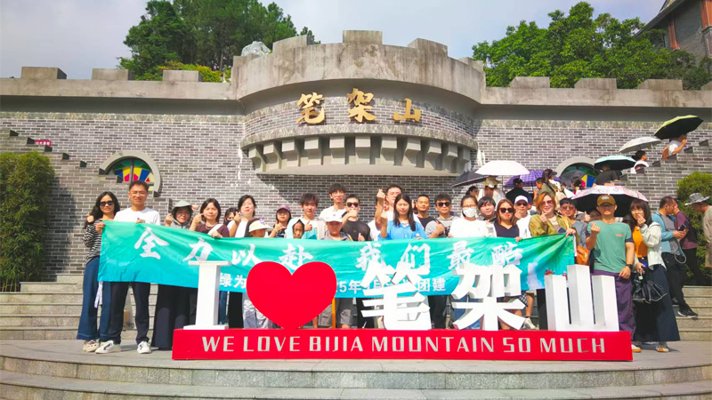 公司动态