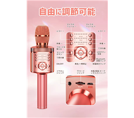 音乐麦克风